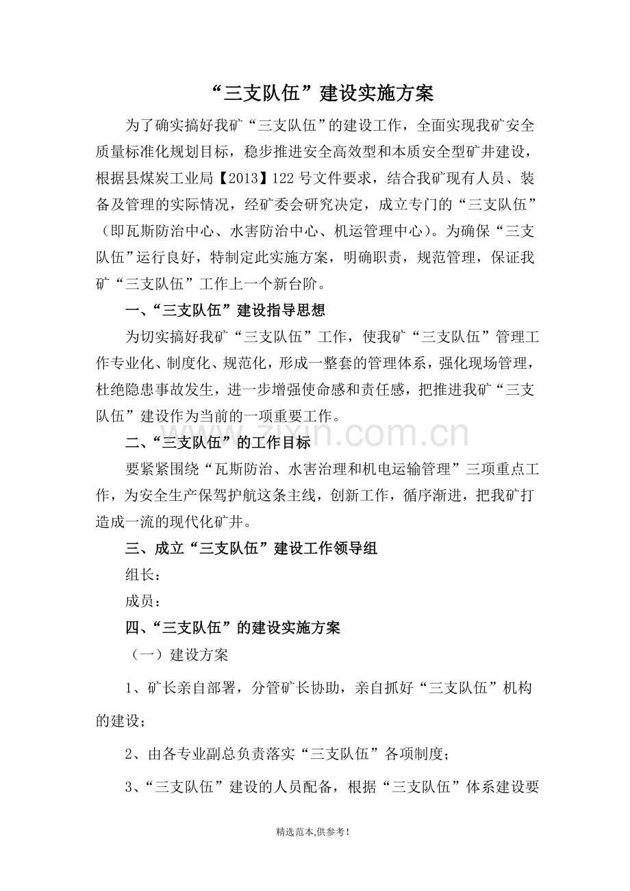 三支队伍建设实施方案.doc_第1页