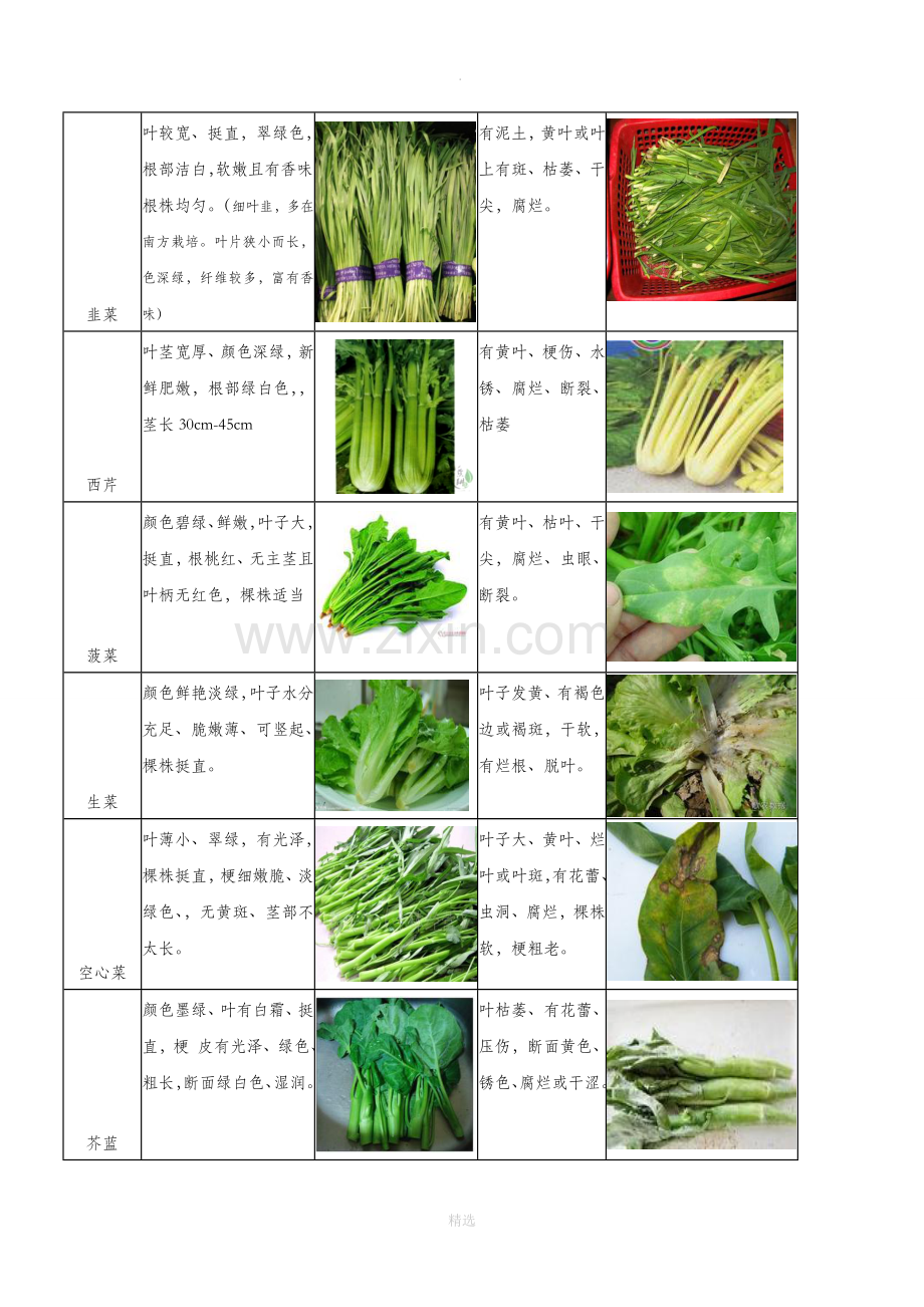 蔬菜验收标准图片版.doc_第3页