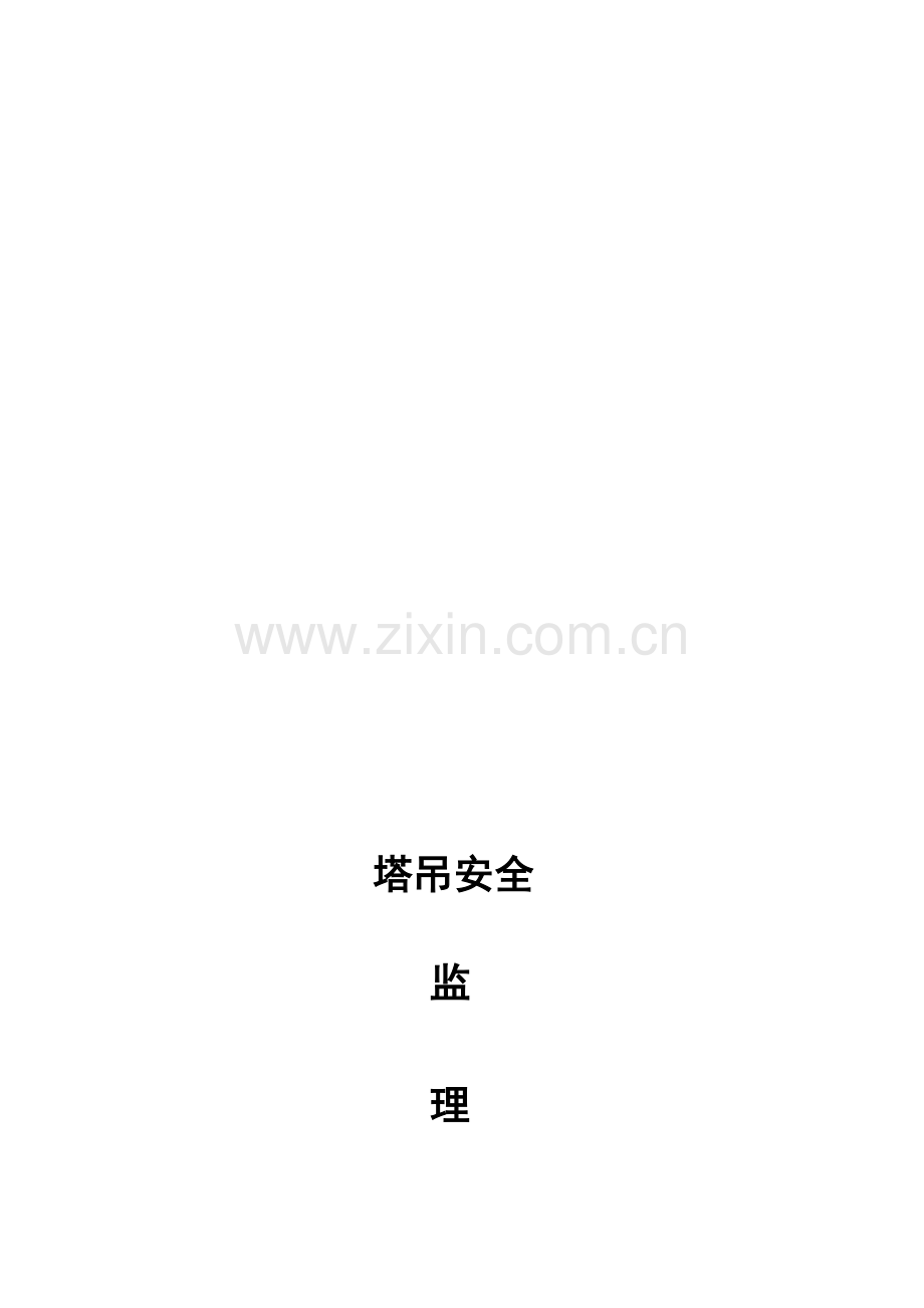 塔吊安全监理细则123.doc_第1页