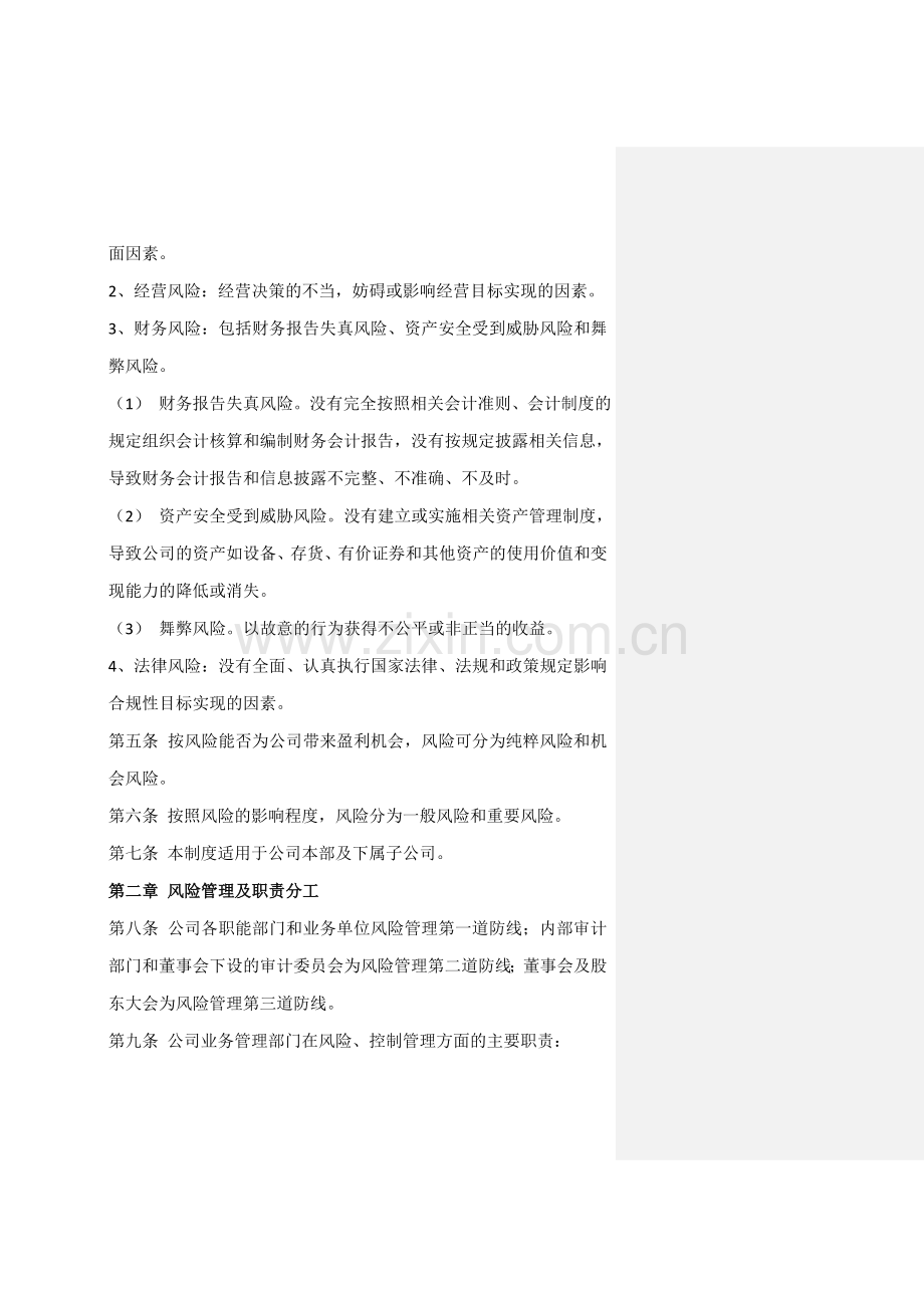 某某公司风险控制管理制度.doc_第2页