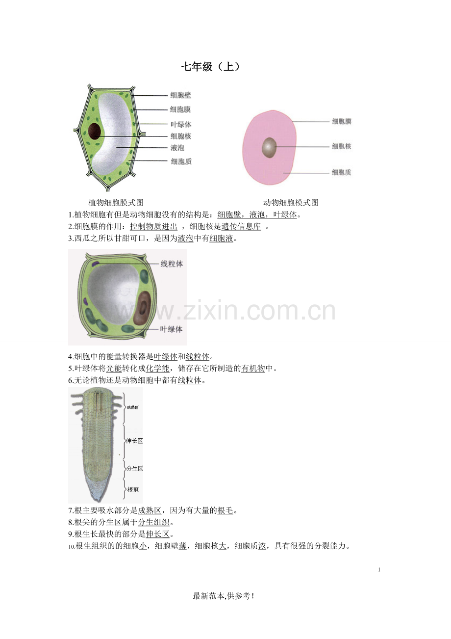 初中生物生物结构图专题复习.doc_第2页