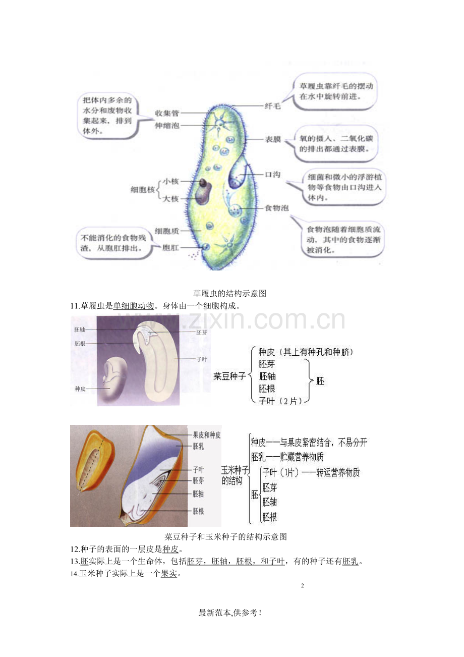 初中生物生物结构图专题复习.doc_第3页