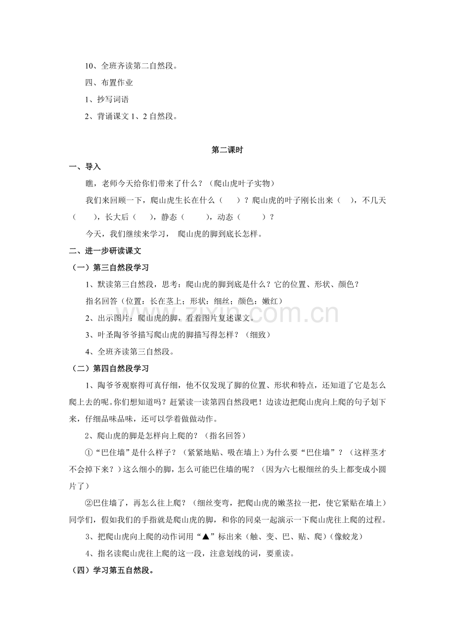 《爬山虎的脚》教案设计.doc_第3页