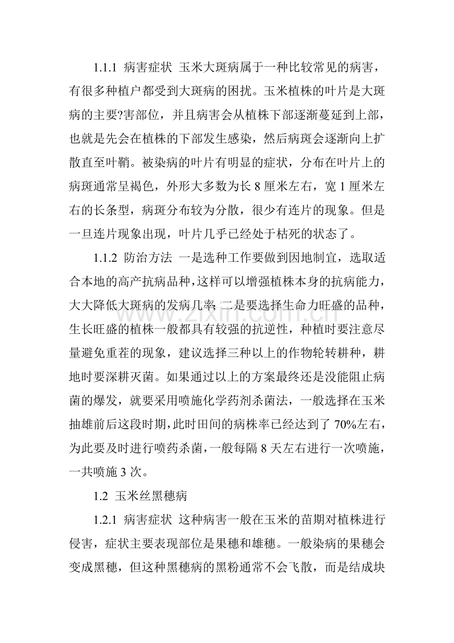 玉米常见病虫害的发生及防治措施.doc_第2页