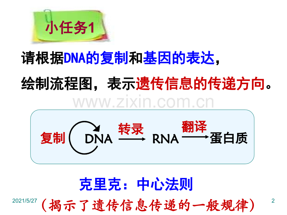 基因对性状的控制-(获奖课件).ppt_第2页