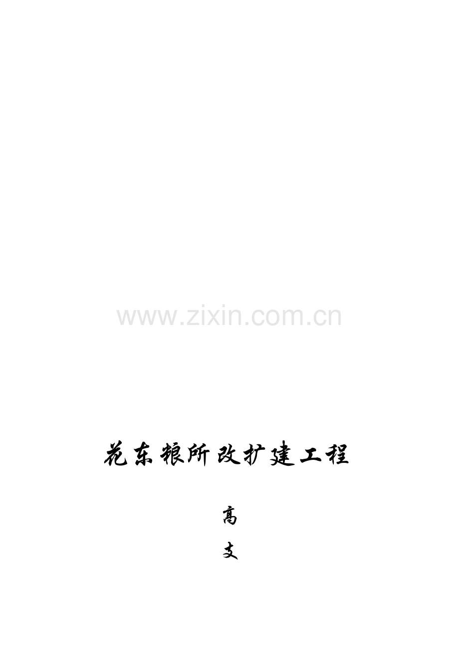 粮仓高支模专项方案(专家论证版).doc_第1页