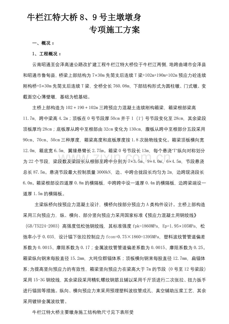 主墩专项施工方案.doc_第1页