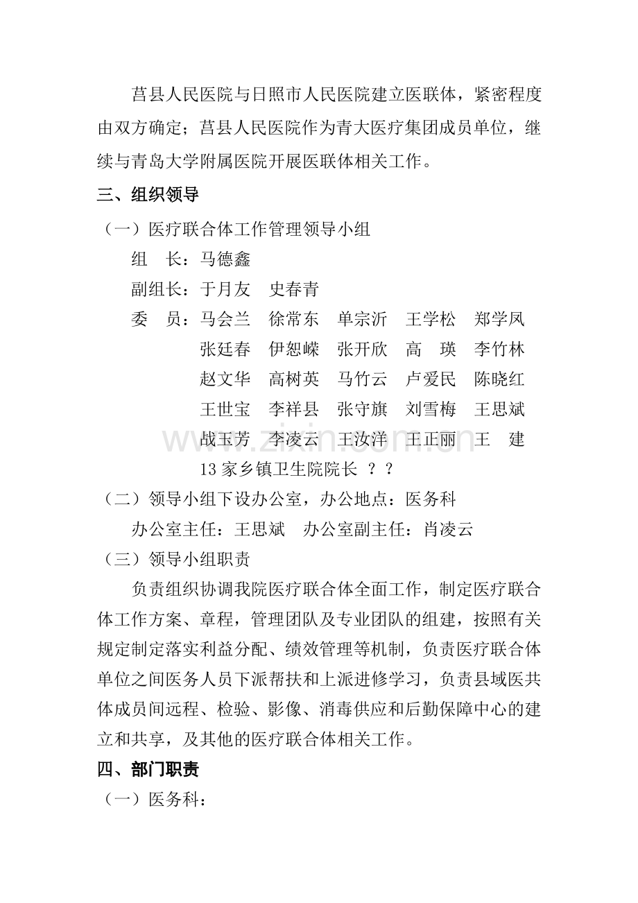 医共体建设方案.doc_第2页