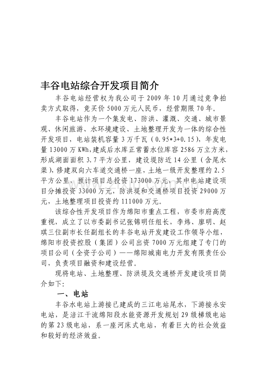 丰谷电站综合开发项目简介(全).doc_第1页