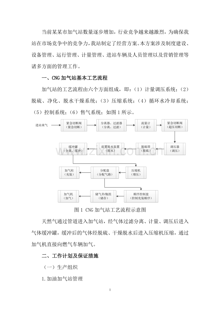 加气年度站经营方案.doc_第2页