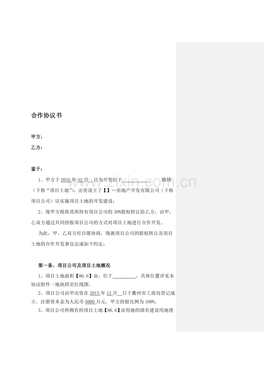 项目合作开发协议书.doc_第1页