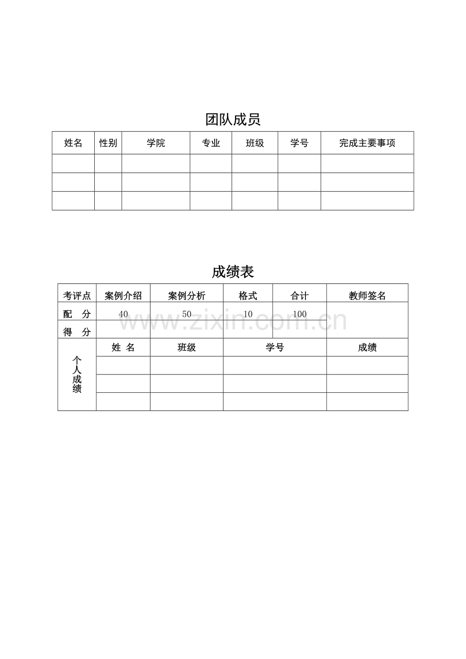 创业案例分析模板.doc_第2页