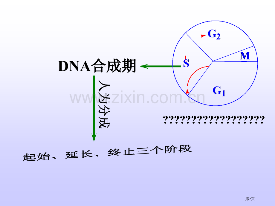 DNA生物合成过程省公共课一等奖全国赛课获奖课件.pptx_第2页