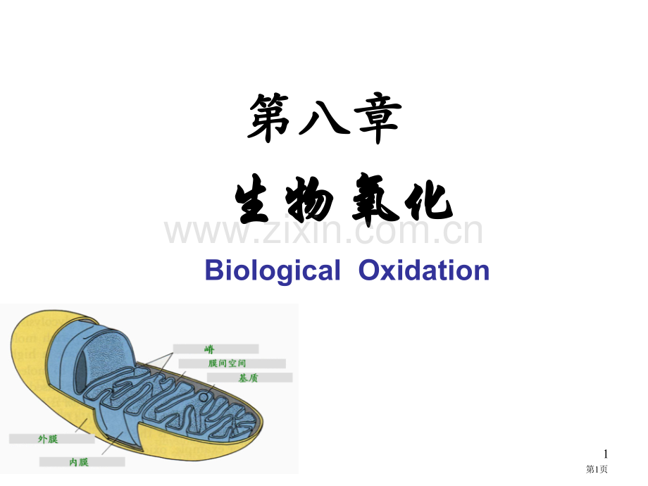 生物氧化专题知识省公共课一等奖全国赛课获奖课件.pptx_第1页