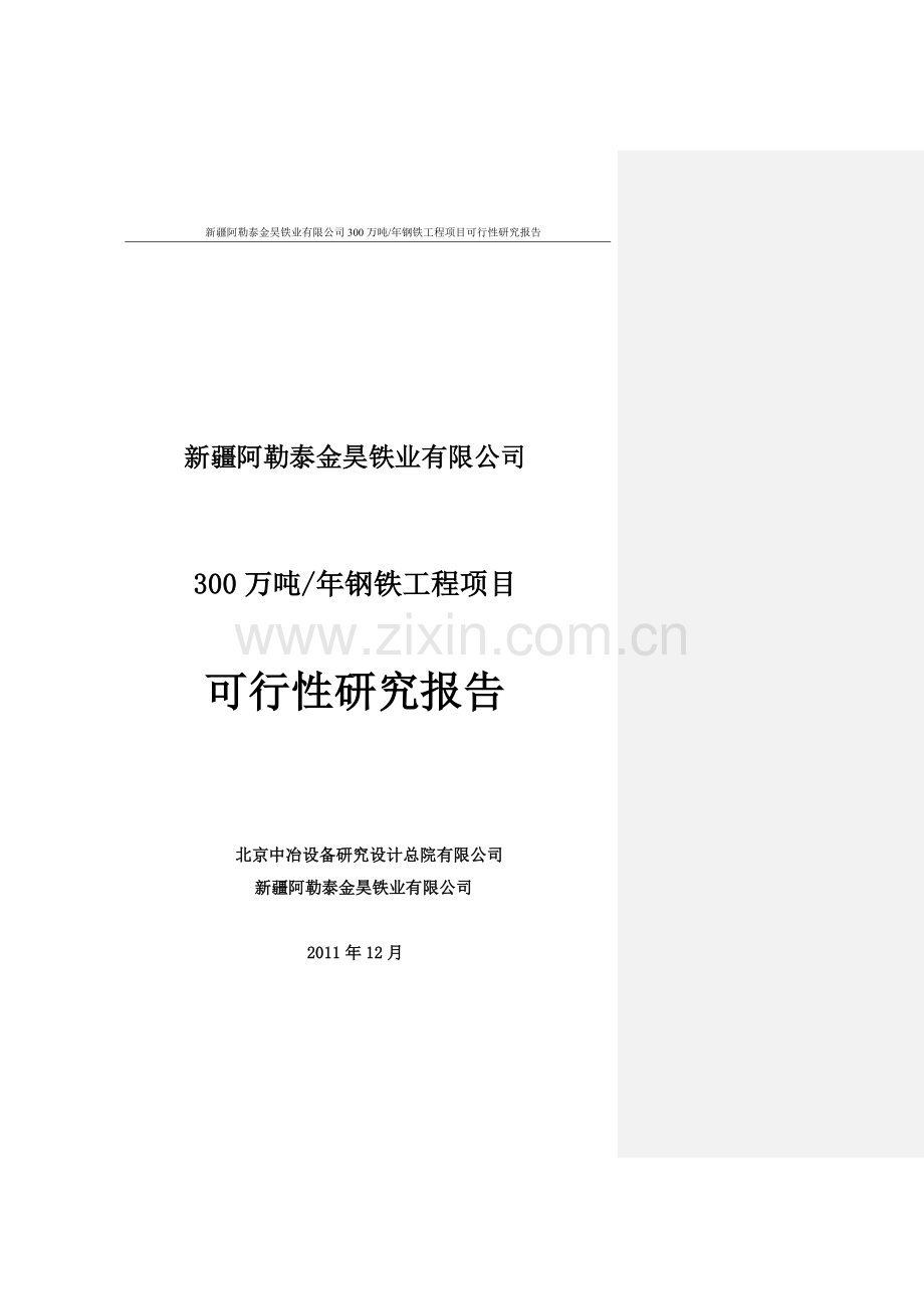 年产300万吨钢铁工程项目申请建设可研报告.doc_第1页