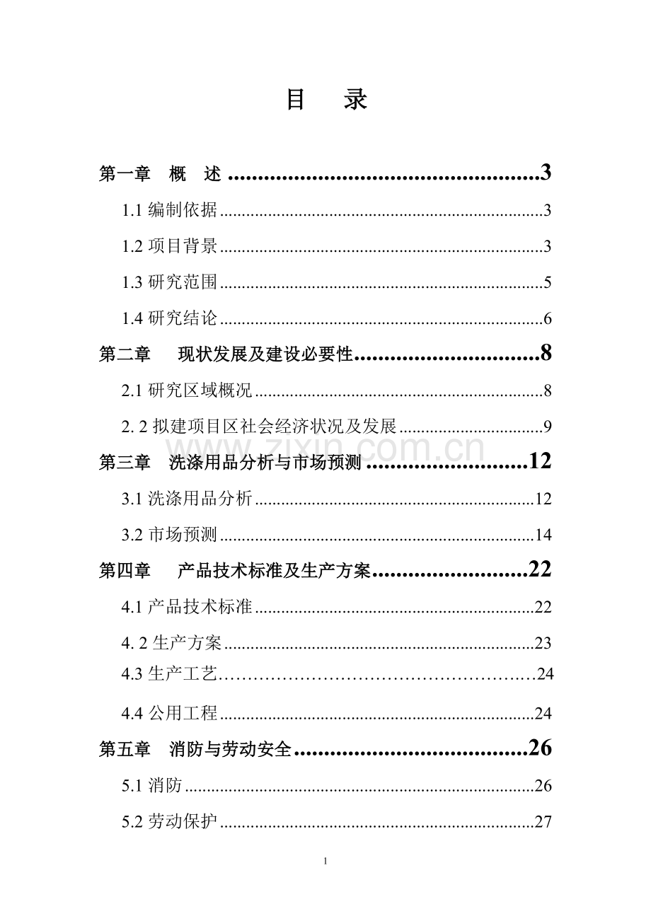 洗涤用品项目可行性研究报告.doc_第1页