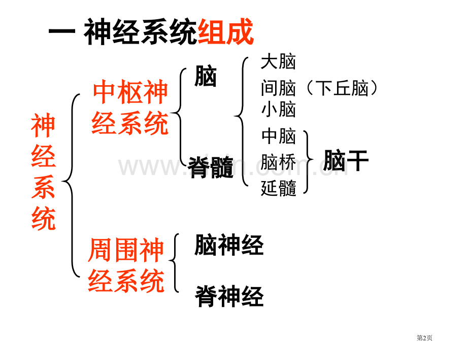 人教版教学新课标人教版神经调节复习省公共课一等奖全国赛课获奖课件.pptx_第2页