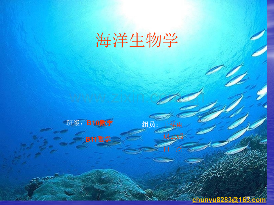 海洋生物几种鱼类省公共课一等奖全国赛课获奖课件.pptx_第1页