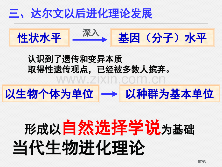 现代生物进化理论的主要内容市公开课一等奖百校联赛获奖课件.pptx_第3页