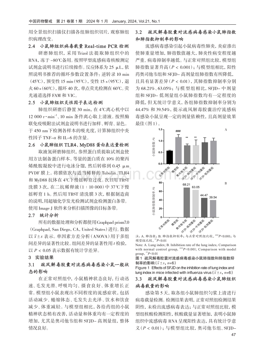 疏风解毒胶囊预防给药对流感病毒感染小鼠模型TLR4介导肺组织炎性损伤的影响.pdf_第3页