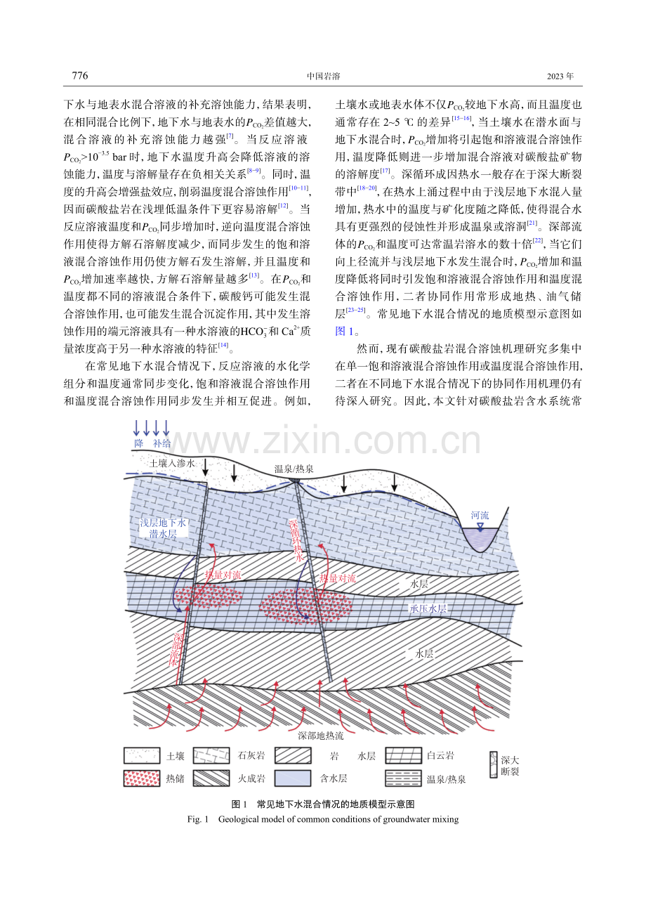 碳酸盐岩水热协同混合溶蚀作用机理的数值试验研究.pdf_第2页