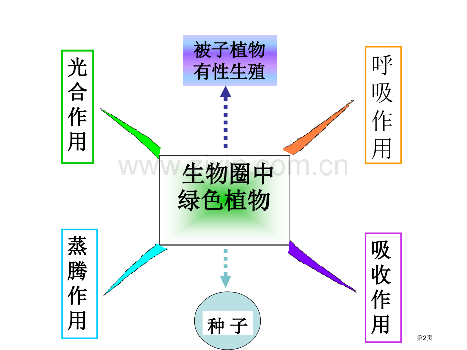 生物圈中的绿色植物的思维导图省公共课一等奖全国赛课获奖课件.pptx_第2页