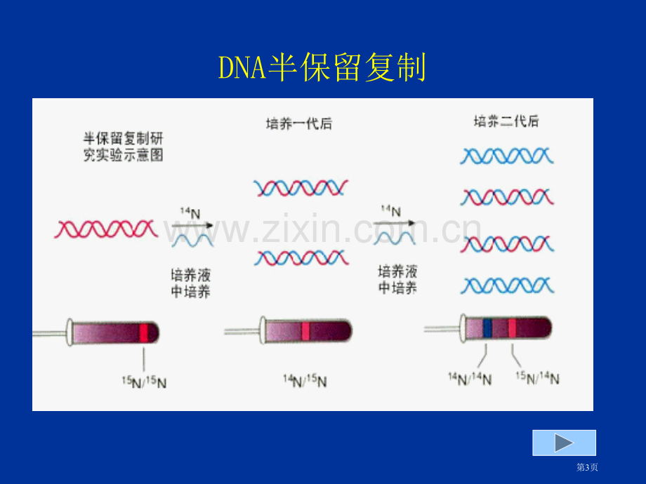 组成生物体的大小分子省公共课一等奖全国赛课获奖课件.pptx_第3页