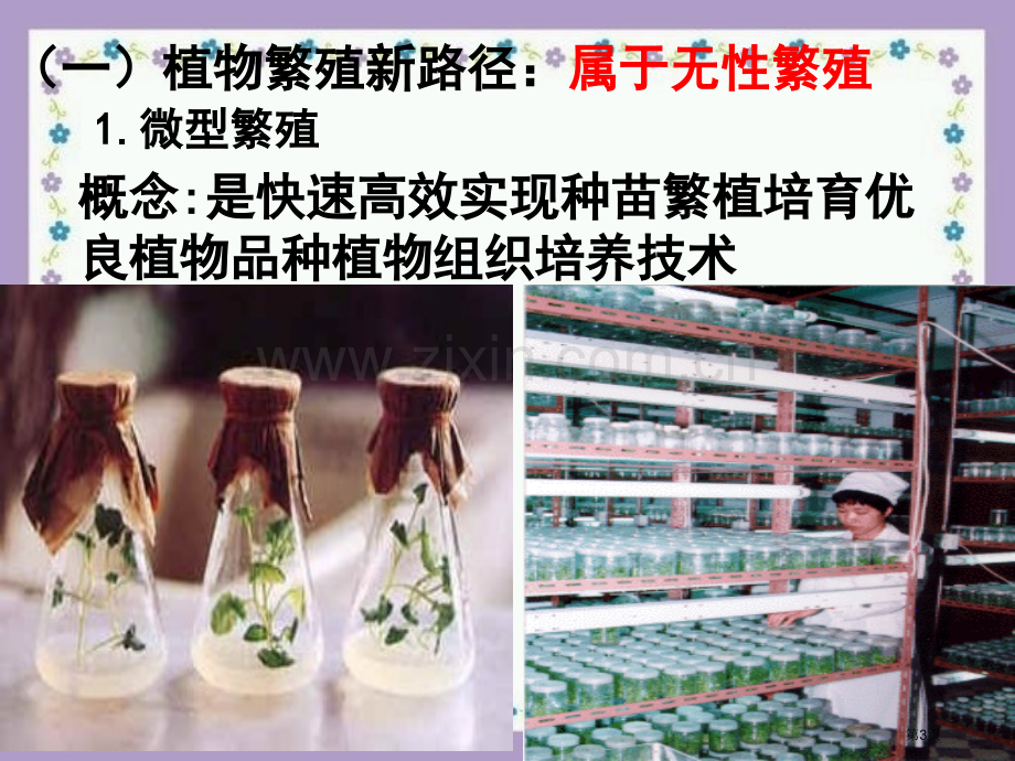 人教版教学名校联盟福建省三明市泰宁一中生物选修三植物细胞工程的实际应用省公共课一等奖全国赛课获奖课件.pptx_第3页