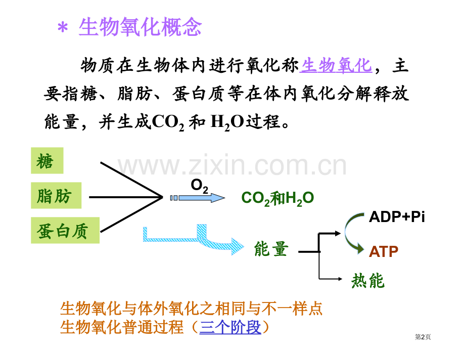 成教生物氧化省公共课一等奖全国赛课获奖课件.pptx_第2页