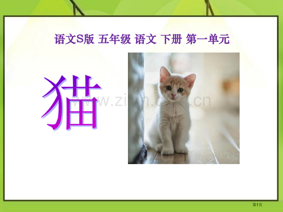 语文S版五年级语文下册猫省公开课一等奖新名师优质课比赛一等奖课件.pptx_第1页