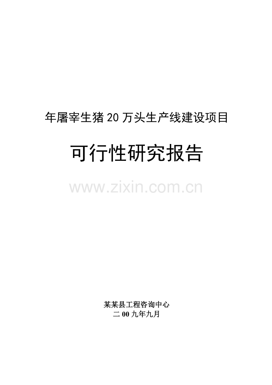 年屠宰生猪20万头生产线建设项目申请建设可研报告.doc_第1页