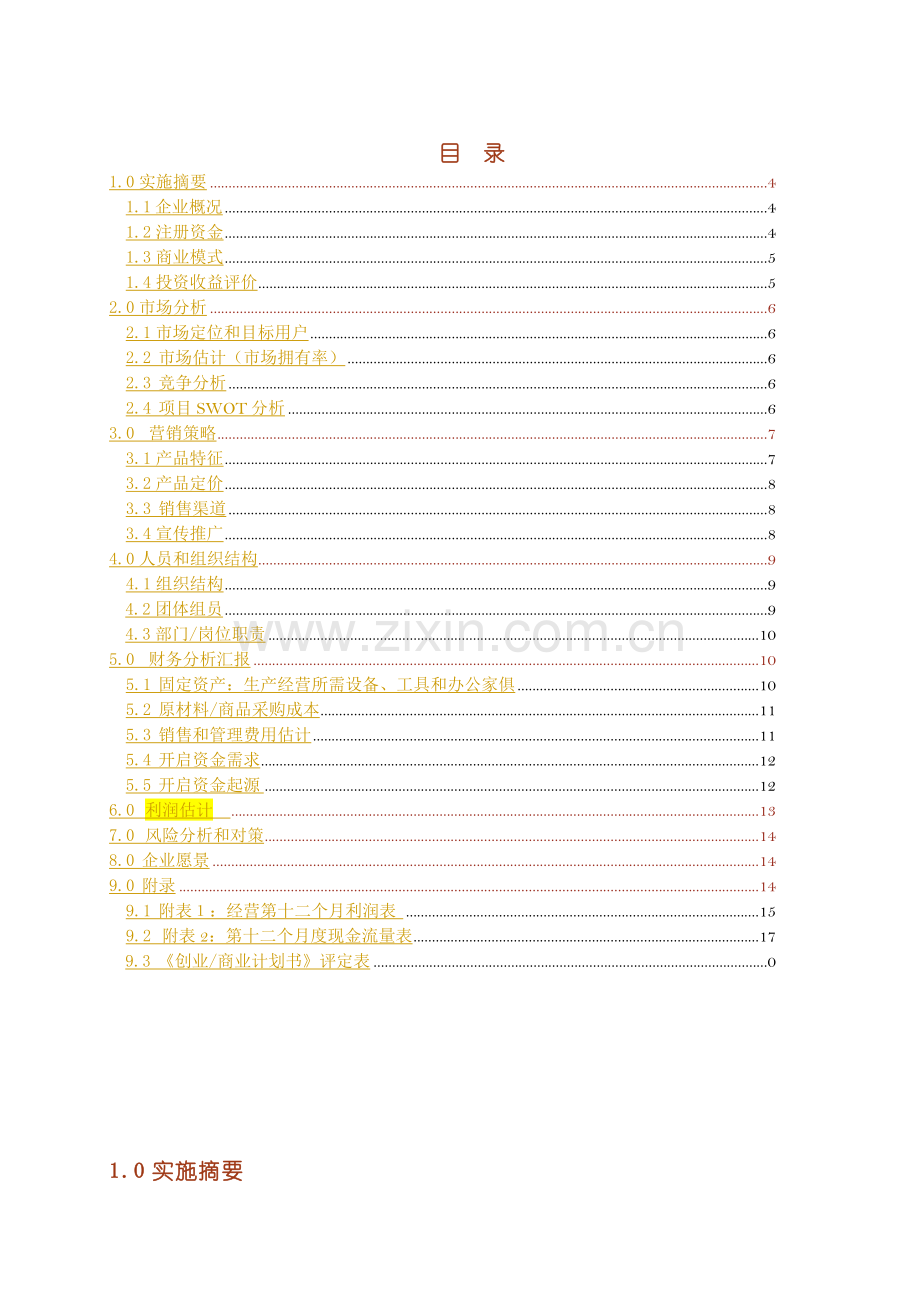 BP商业专题计划书模板.doc_第3页