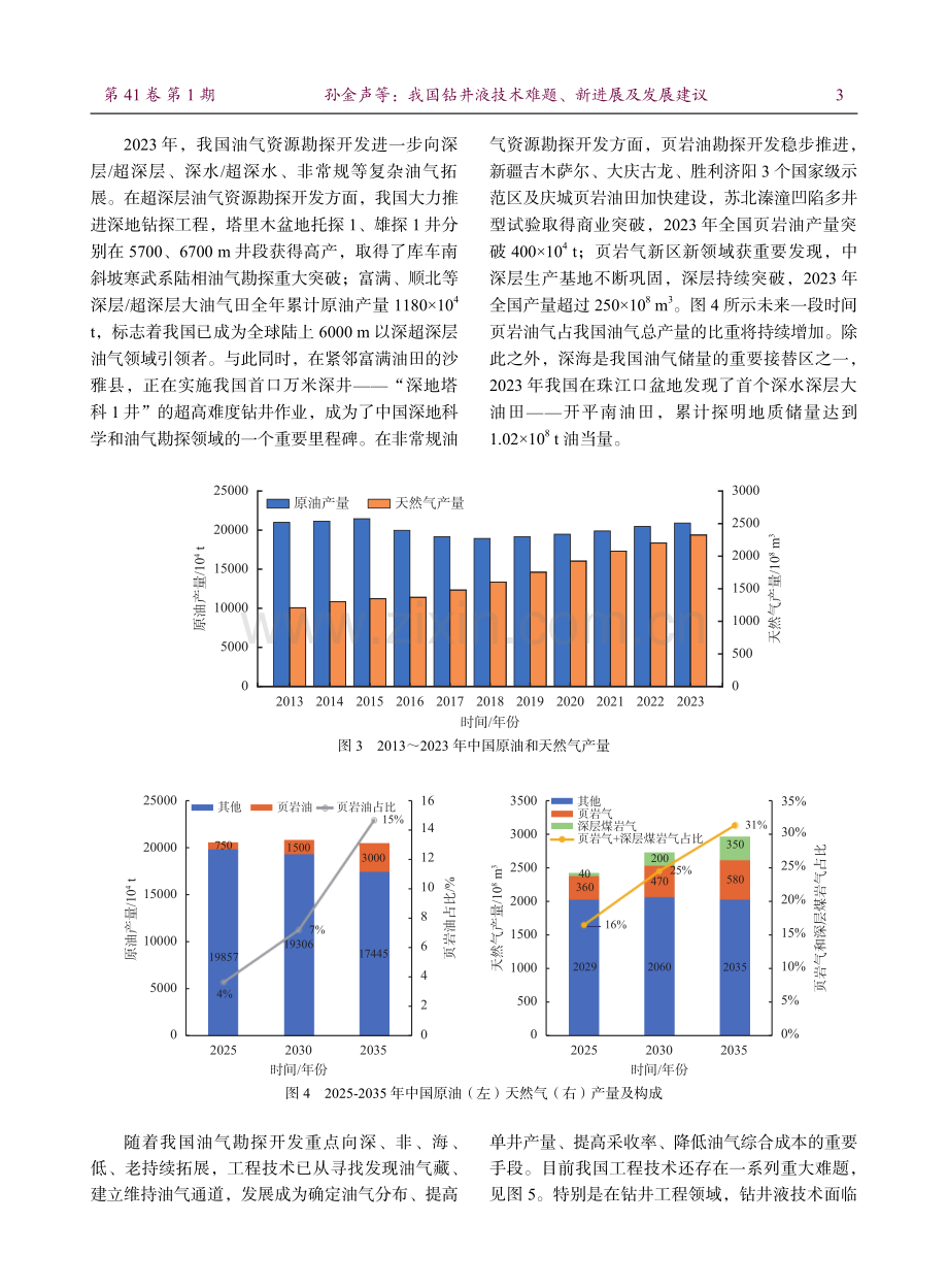 我国钻井液技术难题、新进展及发展建议.pdf_第3页