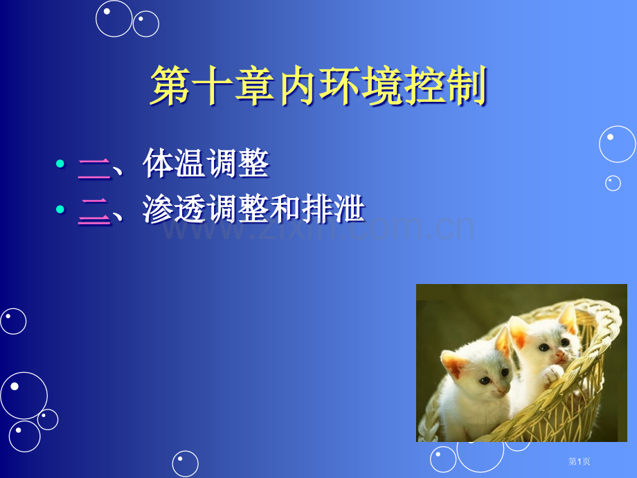 普通生物学内环境的控制省公共课一等奖全国赛课获奖课件.pptx_第1页