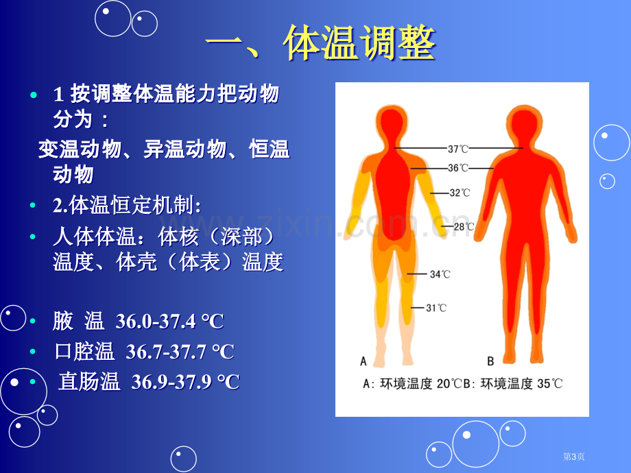 普通生物学内环境的控制省公共课一等奖全国赛课获奖课件.pptx_第3页