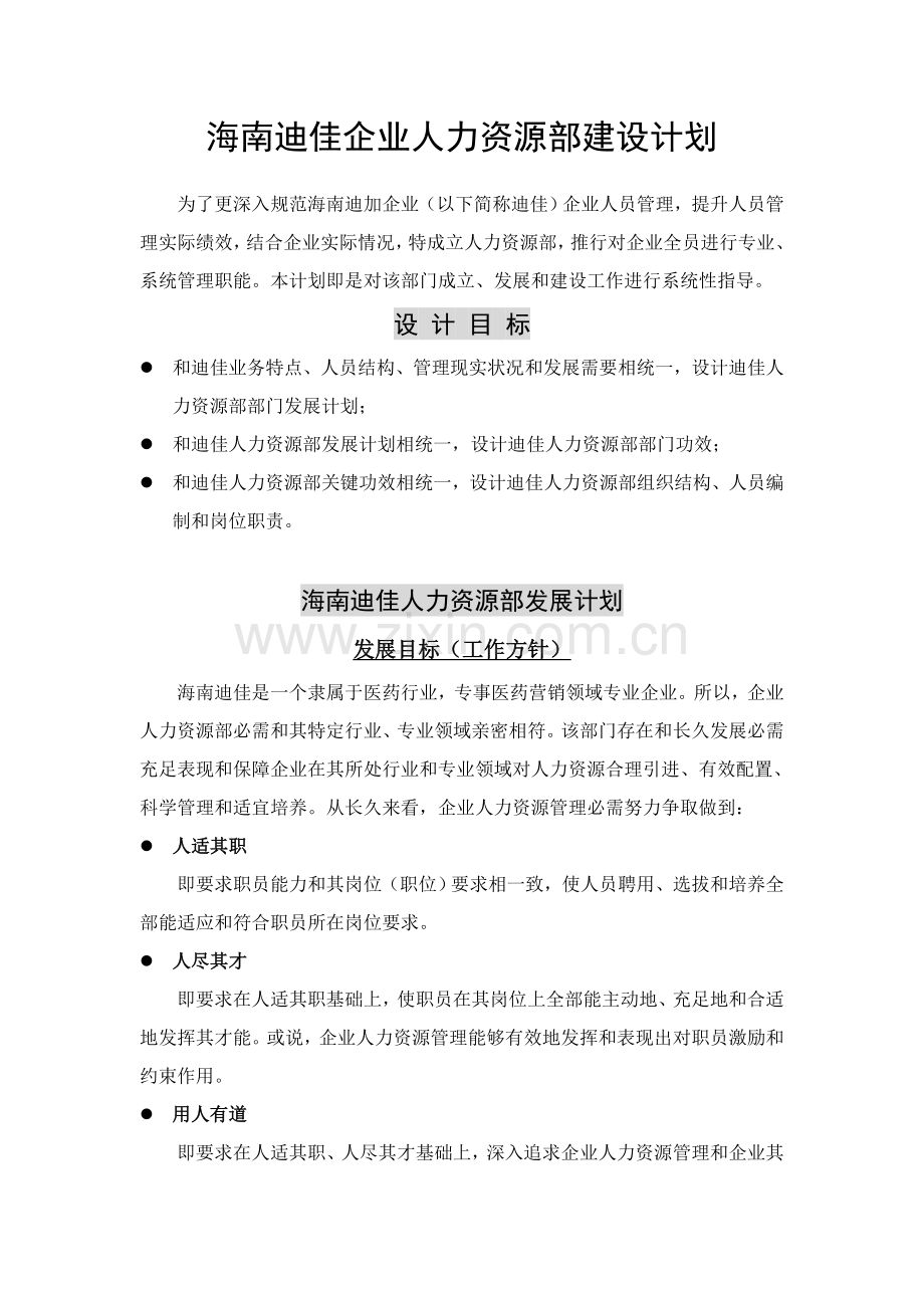 海南迪佳公司人力资源部建设规划样本.doc_第1页