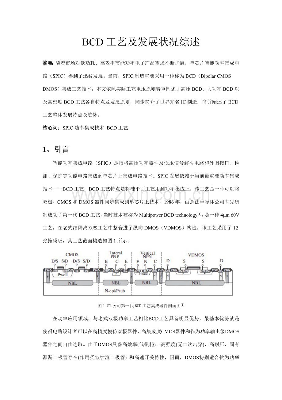 BCD基本工艺综述专业资料.doc_第1页