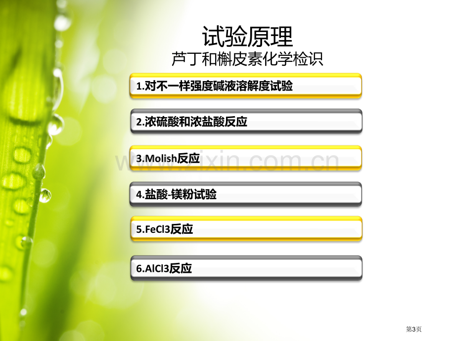 芦丁和槲皮素的化学检识省公共课一等奖全国赛课获奖课件.pptx_第3页