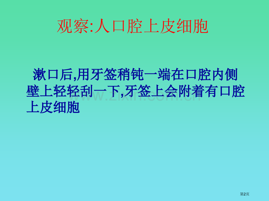 苏教版生物七年级上人和动物细胞的结构和功能省公共课一等奖全国赛课获奖课件.pptx_第2页