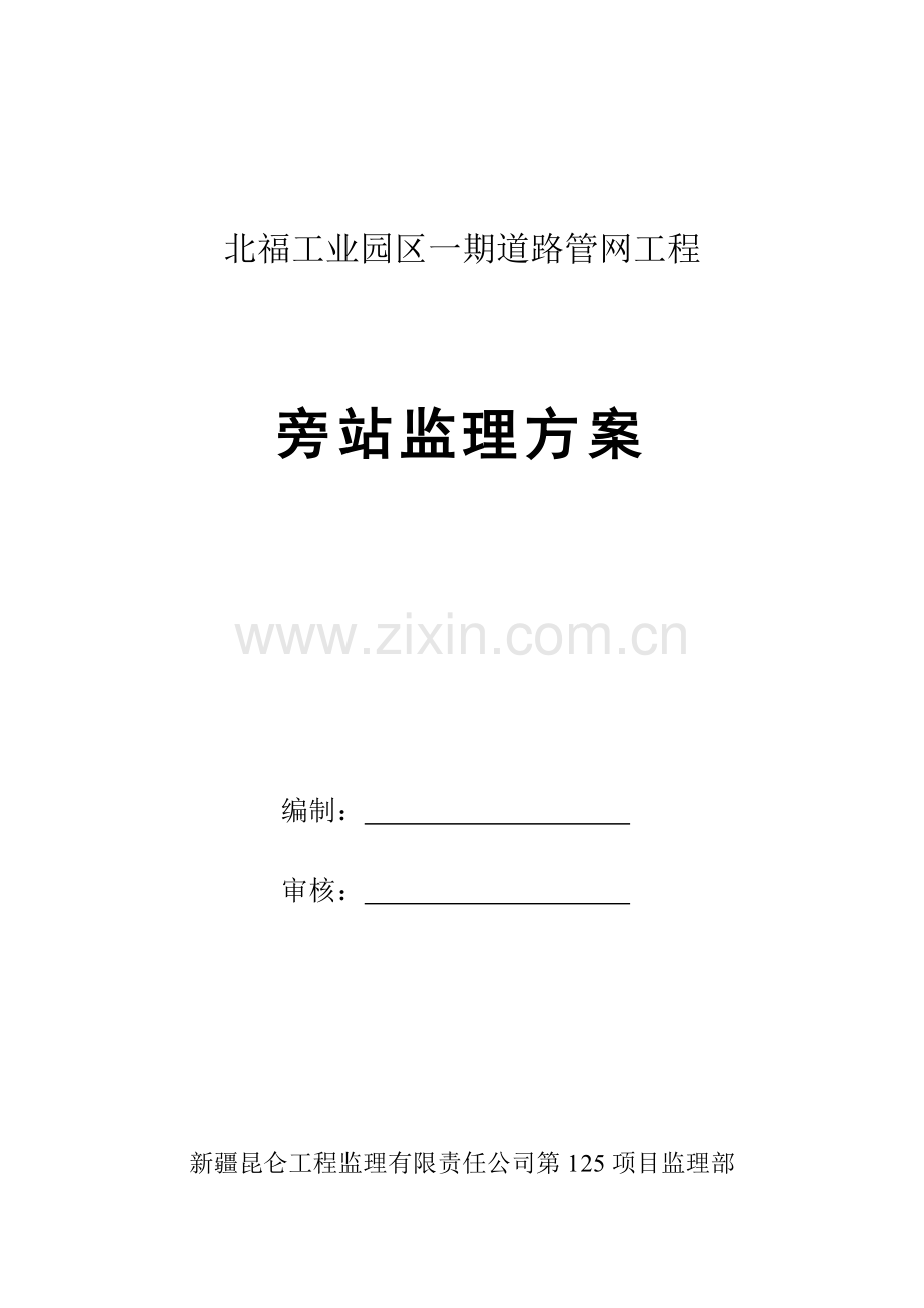 管网综合项目工程旁站监理专项方案.doc_第1页