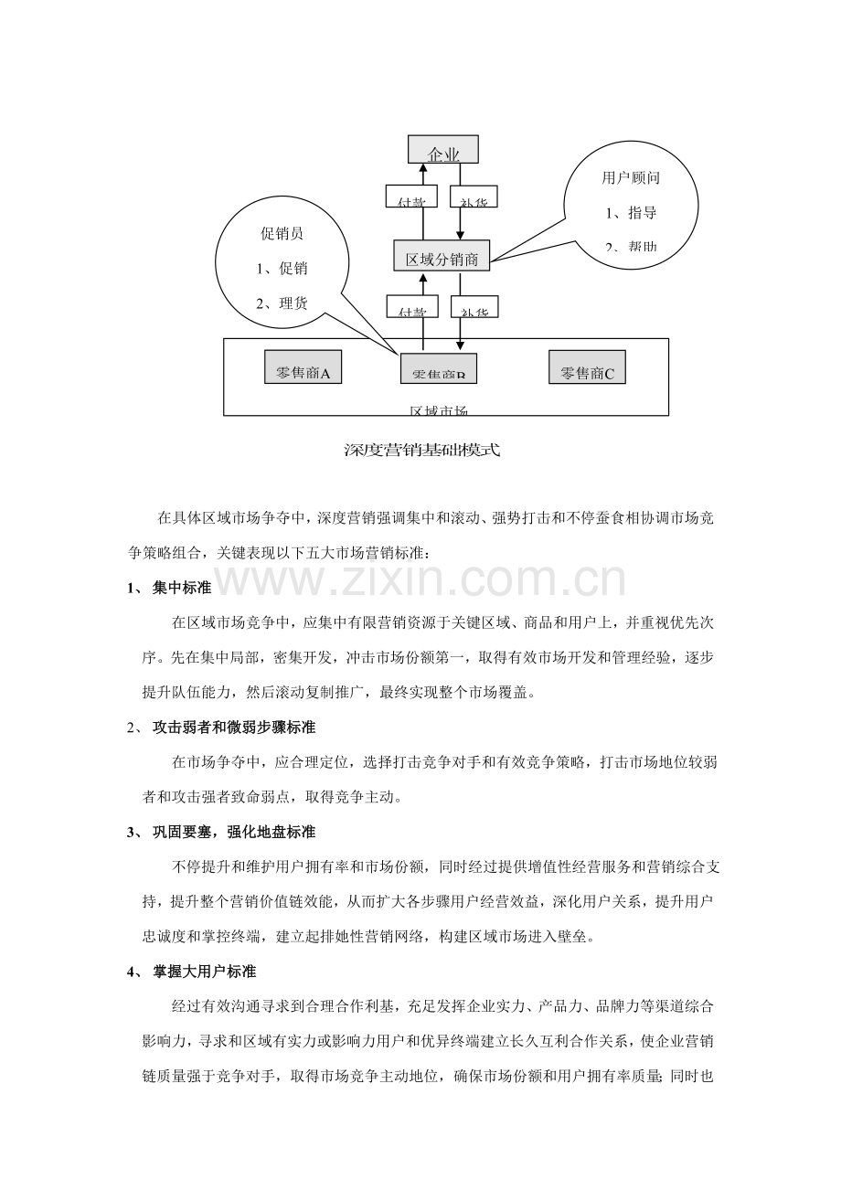 深度营销模式及导入流程分析模板.doc_第3页