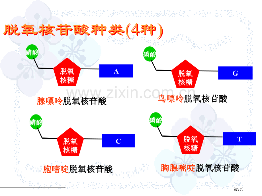 沙湾一中生物组刘军市公开课一等奖百校联赛特等奖课件.pptx_第3页