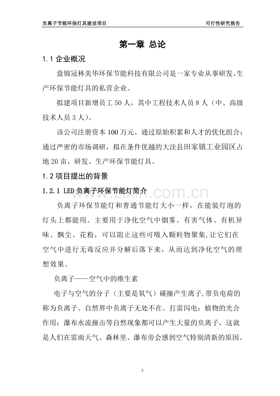 负离子环保节能灯具项目建设可行性研究报告.doc_第2页