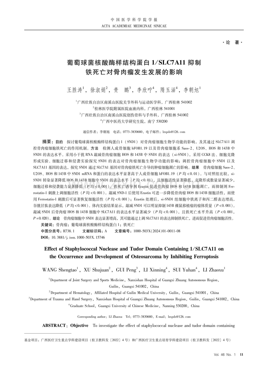 葡萄球菌核酸酶样结构蛋白1_SLC7A11抑制铁死亡对骨肉瘤发生发展的影响.pdf_第1页