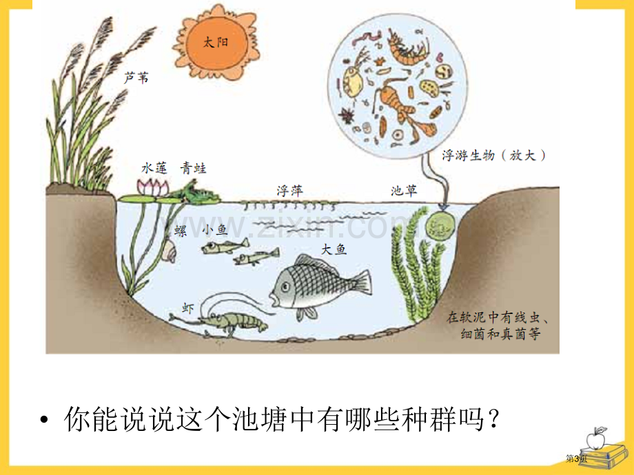 生物群落课件省公开课一等奖新名师优质课比赛一等奖课件.pptx_第3页