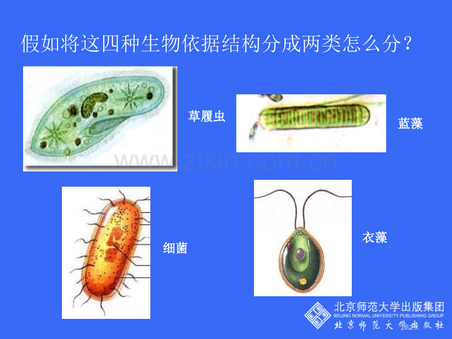 原生生物的主要类群省公开课一等奖新名师优质课比赛一等奖课件.pptx_第2页