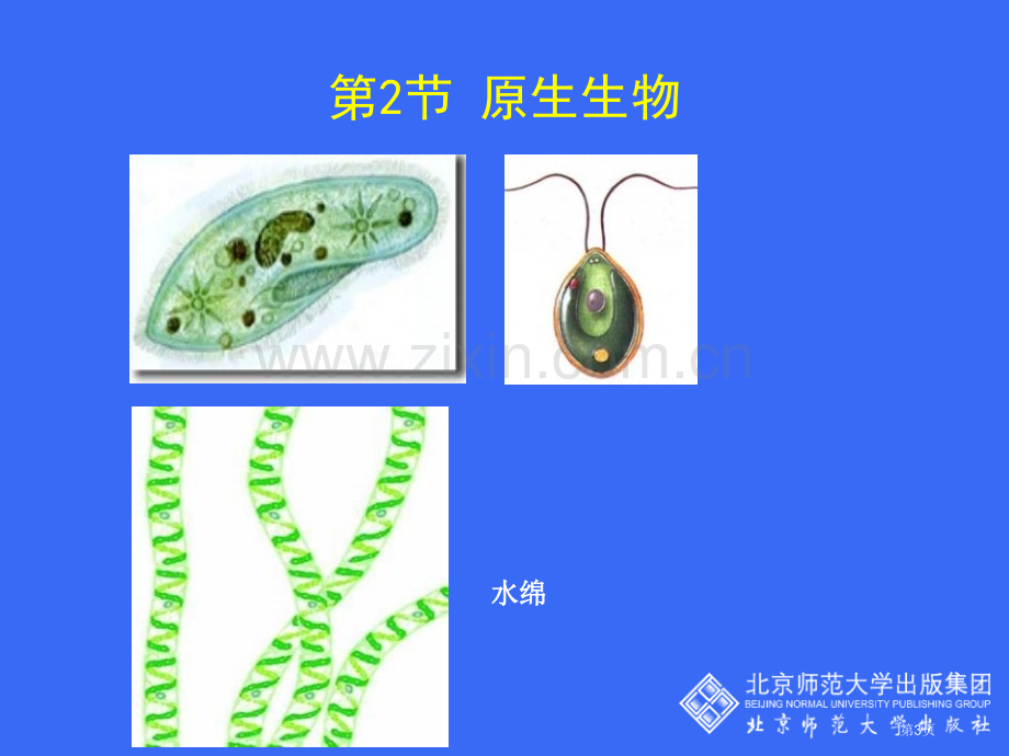 原生生物的主要类群省公开课一等奖新名师优质课比赛一等奖课件.pptx_第3页