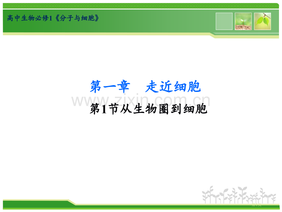 从生物圈到细胞区省公共课一等奖全国赛课获奖课件.pptx_第1页