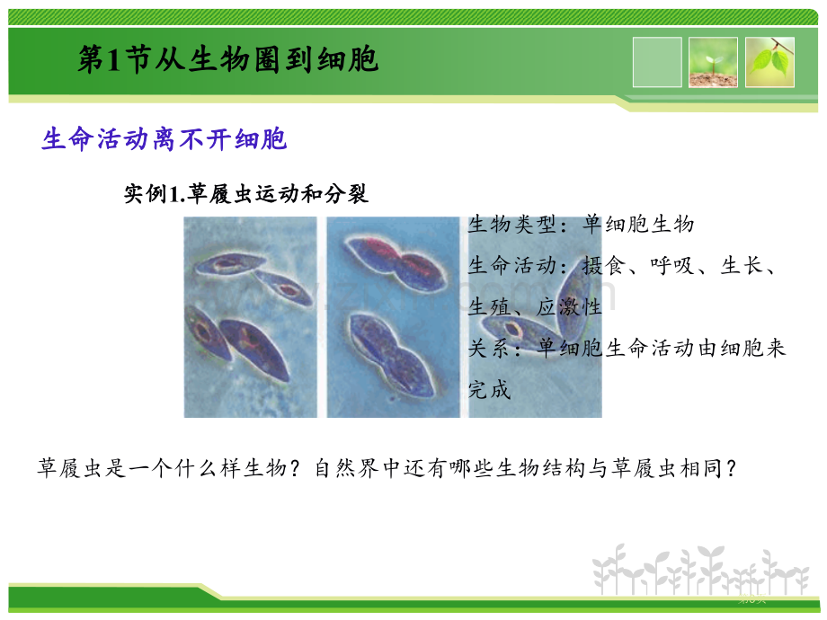 从生物圈到细胞区省公共课一等奖全国赛课获奖课件.pptx_第3页