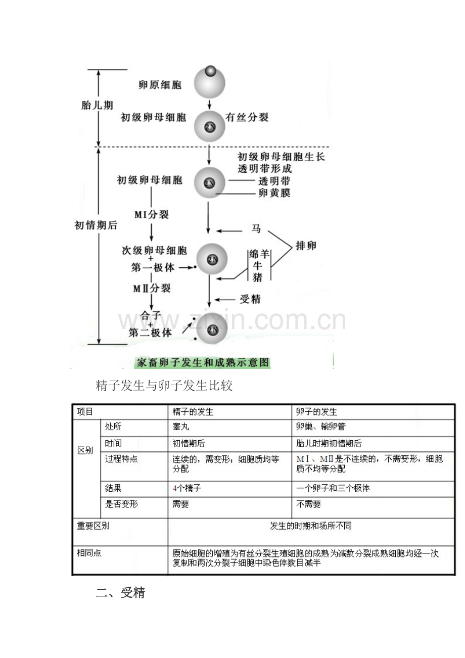 生物选修胚胎综合项目工程.doc_第3页